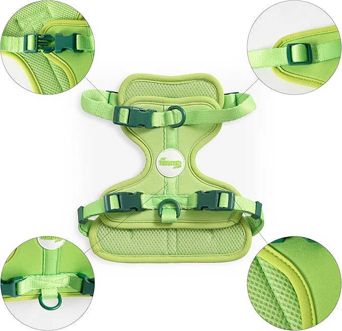 HNS1001B Arlo Small Adjustable Soft Padded No Pull Pet Harness with 3 Buckles and 3 Leash Clips, Mojito