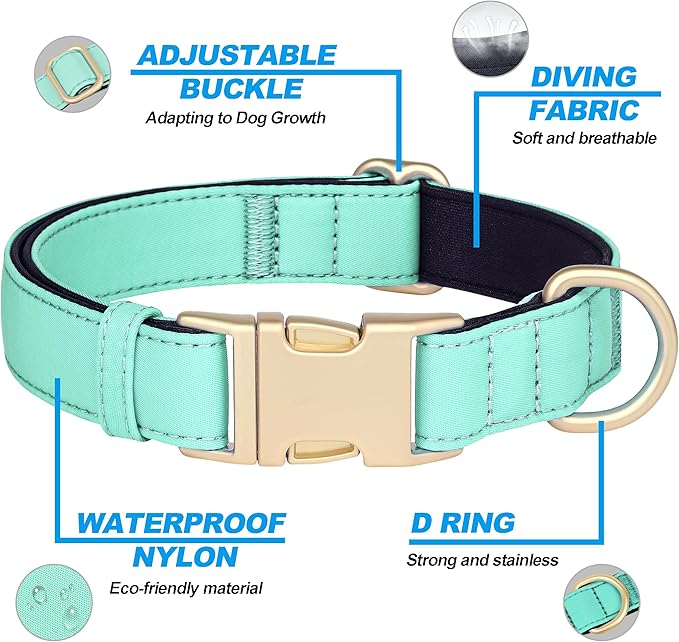 Didog Soft Padded Dog Collar for Large Dogs, Colorful and Durable Pet Collar with Quick Release Buckle, Light and Breathable for Daily Walking, Teal, L
