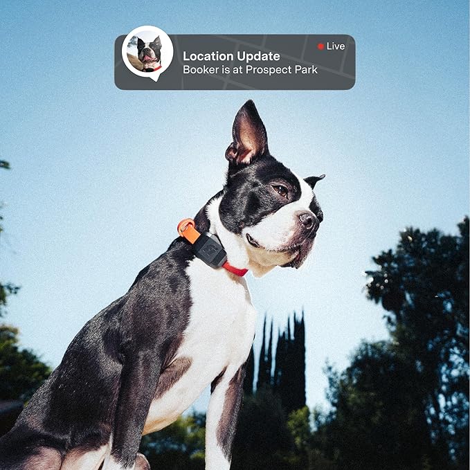 Fi Mini GPS Tracker for Dogs & Cats – Lightweight, Virtual Fences, Escape Alerts, Step & Health Tracking, Waterproof – 6-Month Membership Included