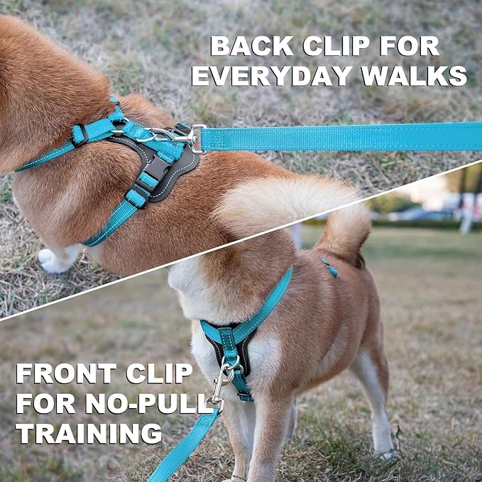 Plutus Pet Adjustable No Pull Dog Harness with Leather Accents, Heavy Duty Reflective Nylon Vest for Training, Hiking, Easy Walk Harness for Small, Medium, Large Dogs (Light Blue, M)