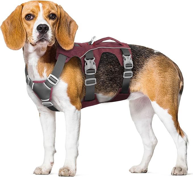 Escape Proof Dog Harness with Handle - Reflective No Pull Dog Vest, Lightweight Full Body Pet Harness Adjustable for Small Dogs Walking,Training(Maroon,Chest:14-22")