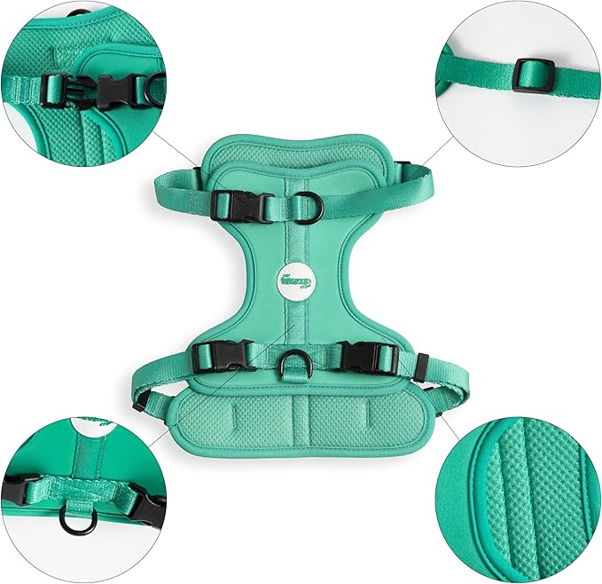 HNS1002K Arlo Medium Adjustable Soft Padded No Pull Pet Harness with 3 Buckles and 3 Leash Clips, Julep