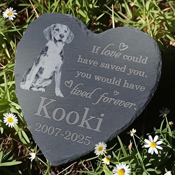 Pet Memorial Stone, Dog Memorial Stone, Dog Memorial Gifts for Loss of Dog, Pet Memorial Gifts, Loss of Pet Sympathy Gift, in Loving Memory Pet - Loved Could Saved You Forever - Heart Shaped