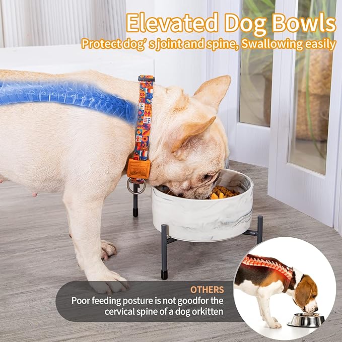 6 Inch Raised Ceramic Dog and Cat Bowl with Iron Stand, 32 OZ Modern Elevated Food and Water Bowls for Cats & Dogs, No Spill Porcelain Pet Feeder, Set of 2
