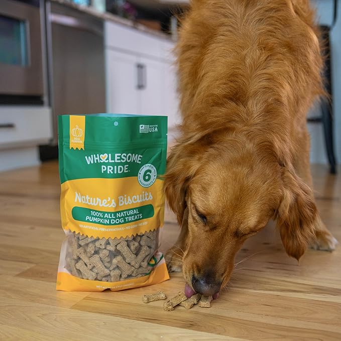 Wholesome Pride Nature’s Biscuits Pumpkin Dog Treats - Crunchy, Natural, Limited‑Ingredient, Grain‑Inclusive Recipe with Fiber‑Rich Pumpkin - Mini Bone‑Shaped Treats - 16oz Bag