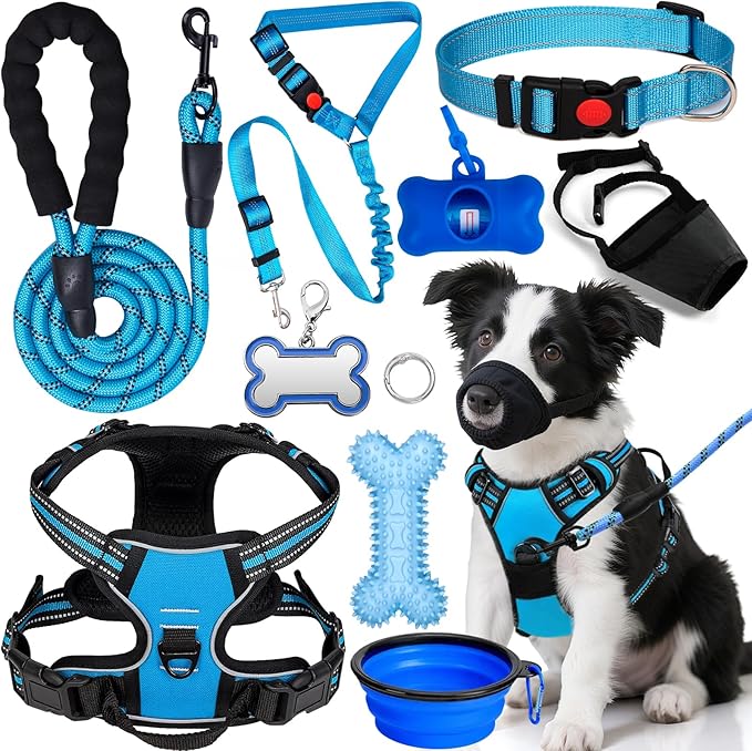 No Pull Dog Harness Adjustable Collar & Leash Set - Dog Halter Harnesses Collapsible Bowls & Poop Bag Dispenser Muzzle ID Tags Toys Fits Small Medium Large Dogs (Blue-L)