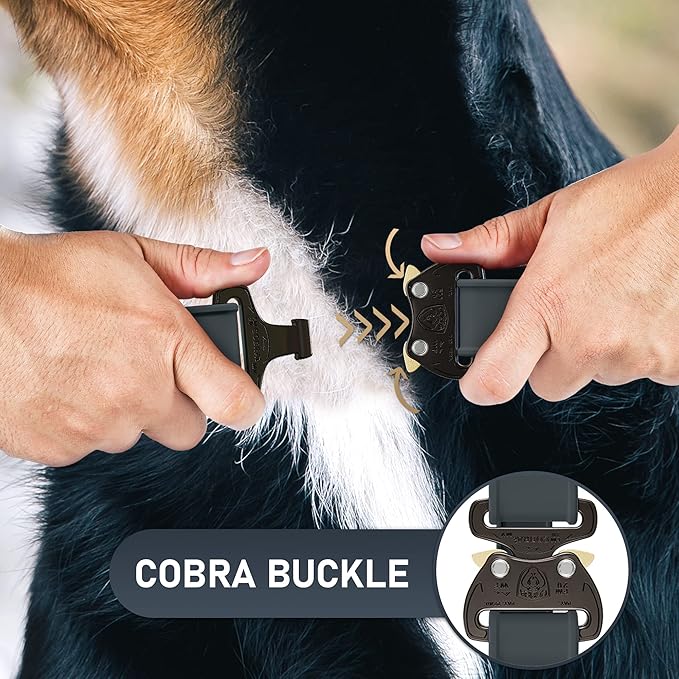 Biothane Dog Collar with Cobra Buckle - Made in USA - QR Code Dog Tag ID Included - Adjustable Heavy Duty Dog Collars for Medium Large Dogs - Waterproof Military Grade Tactical Collar for Dogs