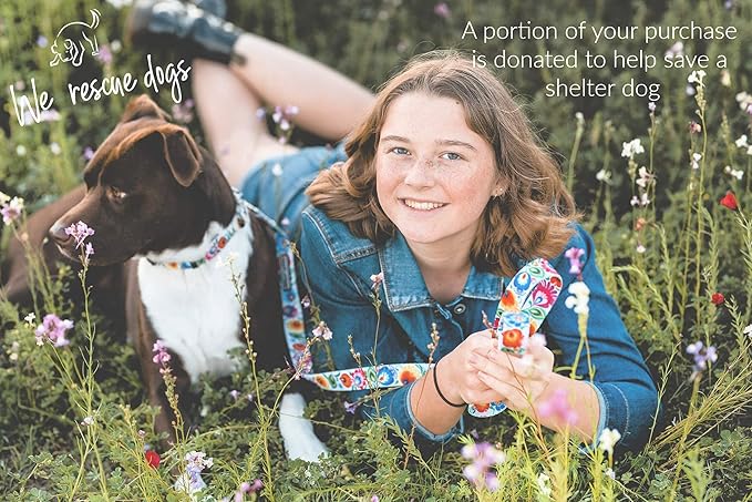 Lucky Love Dog - Easy Click Buckle Dog Collar with Leash Set Combo, Durable & Comfortable for Male & Female Dogs, Pet Collar for Small to Large Dogs, Secure Fit - Ladybird Combo, Medium