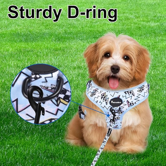 Petmolico Dog Harness and Leash Set Soft Mesh Small Dog Harnesses Vest No Pull Dog Vest Puppy Harness and Leash Set Training(Blue, Medium)