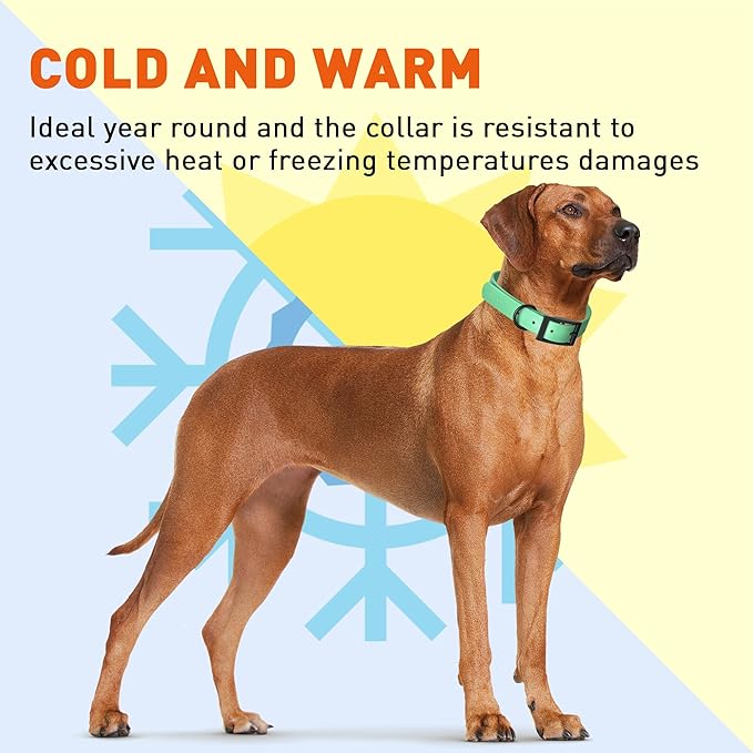 Dogline Biothane Coated Webbing Dog Collar with Black Metal Hardware: Durable Easy-Clean Everyday Collar for Dogs - Comfortable Adjustable Odor-Resistant Pet Collar, W1 x L22-25", Sea Foam Green