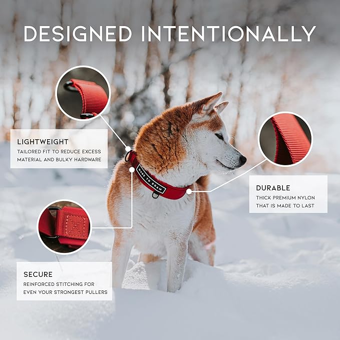 MADE TO ROAM Premium Everyday Dog Collar - Martingale Style No Pull Vegan Leather Collar, Heavy Duty and Lightweight for Small, Medium, Large Dogs (Maine Marina, Size 3)