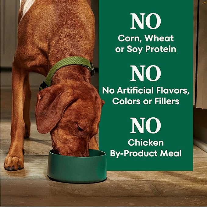 Nutro Natural Choice Adult Large Breed Dog Food Dry, Chicken & Brown Rice Recipe, 30 lb. Bag