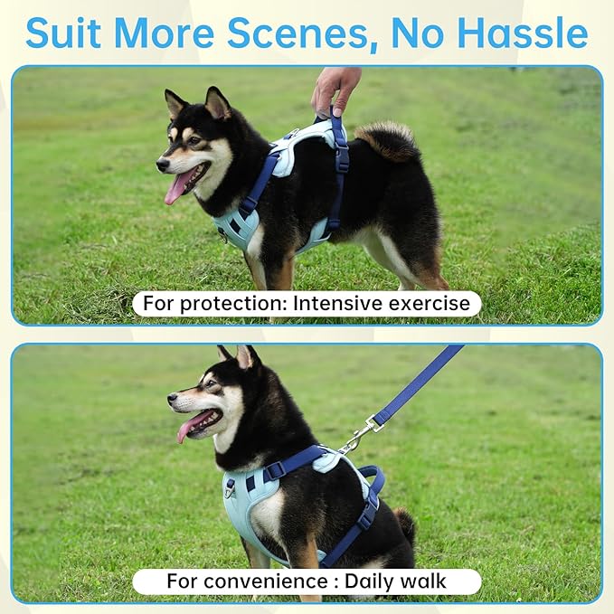 No Pull Dog Harness Leash and Collar Set, Adjustable Dogs Vest with Reflective Strip Soft Handle for Small Medium Large Sized Dog Blue