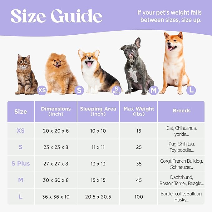 LE SURE Donut Small Dog Bed - Round Cat Beds for Indoor Cats Anti-Anxiety Calming Pet Beds, Washable Cute Modern Beds with Teddy Sherpa Plush & Anti Slip Bottom, 20 Inch, Heart Pink