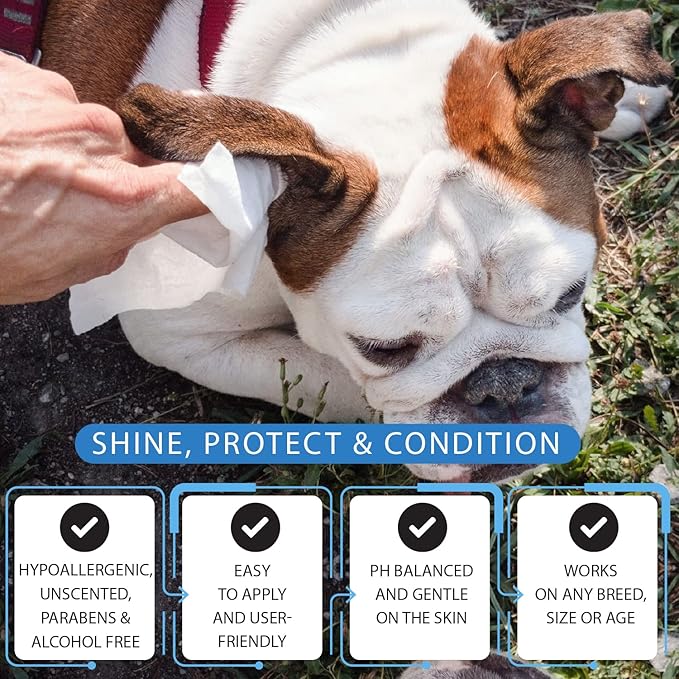 Dog Wipes for Dogs Cats, 200 Count All Purpose Cleaning Pet Wipes, Dog Ear Wipes, Quick Easy Grooming for Bums, Body, Paws, Eyes, for A Easy & Speedy Freshen-Up, 2 Travel Pack of 200 Wipes
