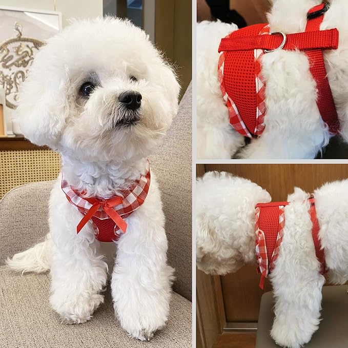 SuperBuddy Upgraded Soft Mesh Dog Harness, Super Breathable Lightweight Pet Harnesses for Puppy Dogs Outdoor Walking, Red Dog Harness and Dog Leash Set Packing -Small