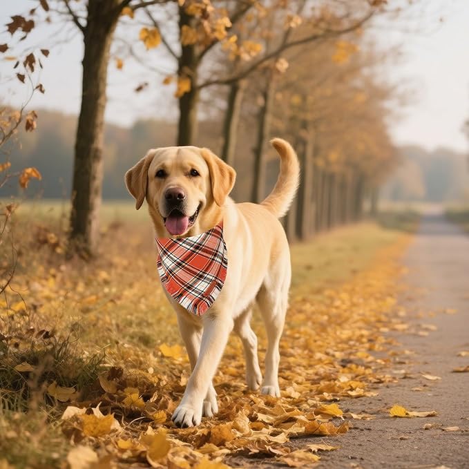 ADOGGYGO Fall Dog Bandana with Tassels Edges, Stylish Orange Plaid Pet Scarf, Multiple Size, Thanksgiving Halloween Fall Bandanas for Medium Large Dogs (Large)