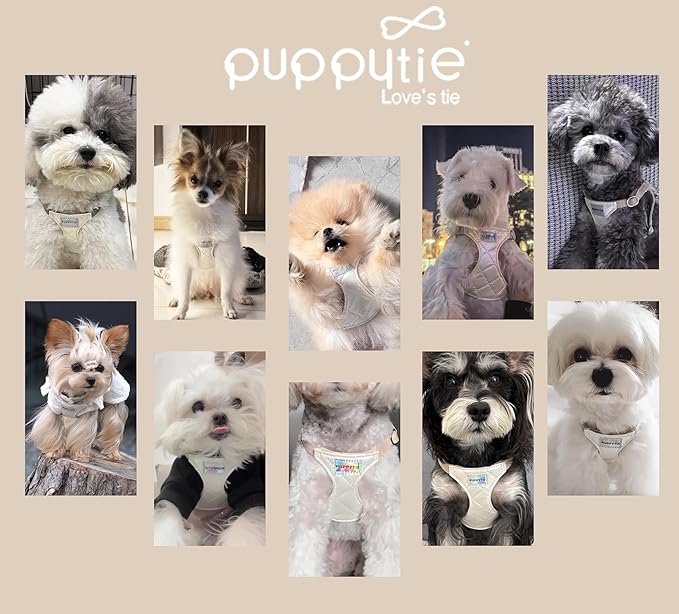 Puppytie No Pull Small Dog Harness with Multifunction Dog Leash,Lightweight Soft Adjustable No Choke Escape Proof Pet Harness Vest Pet Harness Vest,Glossy Pearl White,S