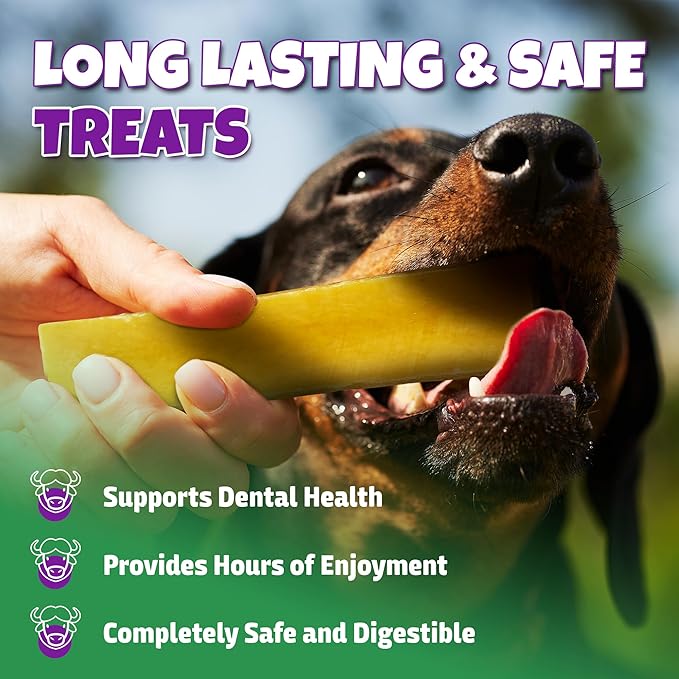 Healthy Yak Cheese Himalayan Chew, All-Natural & High in Protein, Odorless & Long Lasting Yak Chews for Large Dogs & Medium Dogs, Dog Chews for Aggressive Chewers (Large, 4-Pack)