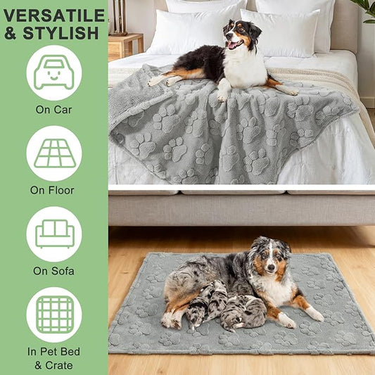 BEAUTYZOO Waterproof Dog Blankets for Large Dogs, Dog Blanket for Couch Sofa Bed, Super Soft Premium Coral Fleece Throw Cat Puppy Blanket, Reversible Furniture Protector, Washable Pet Blanket 40x60IN