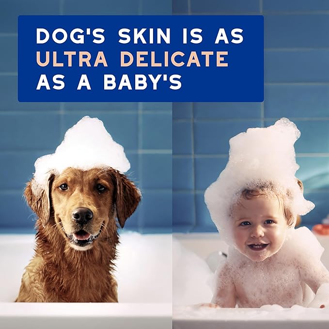 DOUXO® Skin & Coat SPA – Ultra-Safe Combo for Dogs, Shed Control Shampoo (16 fl oz, Cleanses & Reduces Shedding) + Detangling Spray (10 fl oz, Safely Detangles)