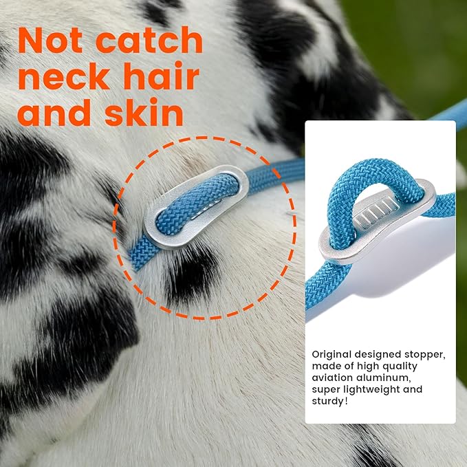 Slip Lead Dog Leash with Double Handles | Reflective Dog Training Leash with 360° Swivel Anti-Tangle | Heavy-Duty Leash and Collar for Large Medium and Small Dogs No-Pull Walking (Multicolor, 5.5FT)