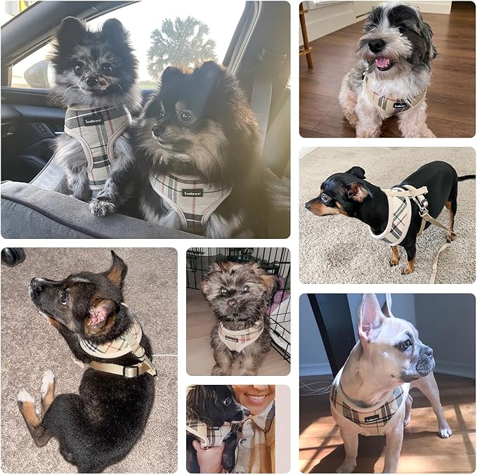 SCENEREAL Puppy Dog Harness with Leash Set for Small Medium Sized Dogs, Soft Mesh Step in Pet Harnesses and Leash, No Chock Plaid Adjustable No Pull Vest for Dogs Cats, Chihuahua,Bulldog (Beige S)