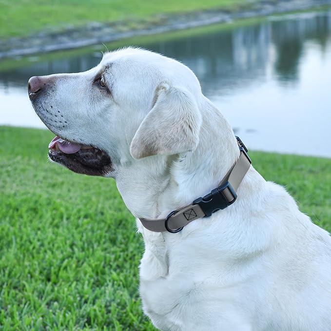Dogline Durable Biothane Waterproof Collar for Dogs - Odor-Resistant Coated Webbing, Quick-Release Design, Comfortable Adjustable Fit, 3/4" W by 12-19" L, Battleship Gray