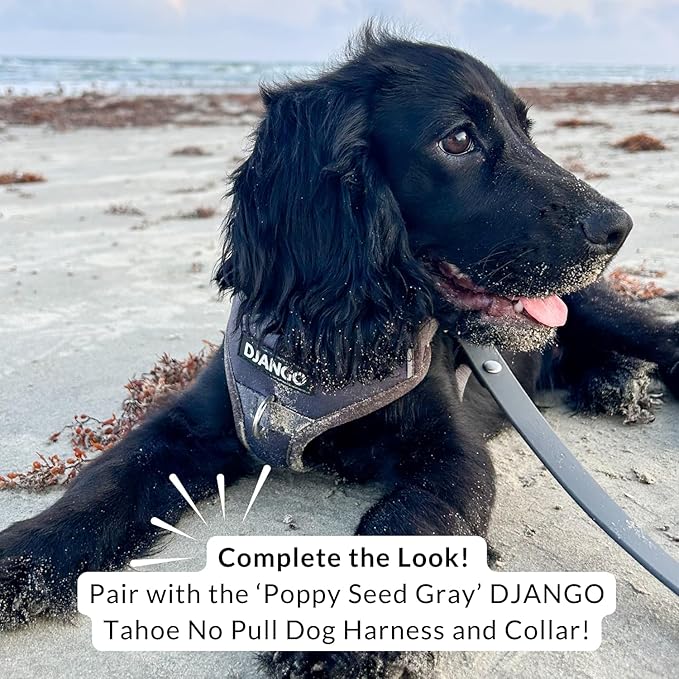 DJANGO Cotton Rope Dog Leash 5ft – Handcrafted Dog Leash and Black Ombre Braided Leash for Small, Medium, and Large Dogs – Stylish Durable 5 Foot Training Lead with Silver Hardware – Poppy Seed Gray