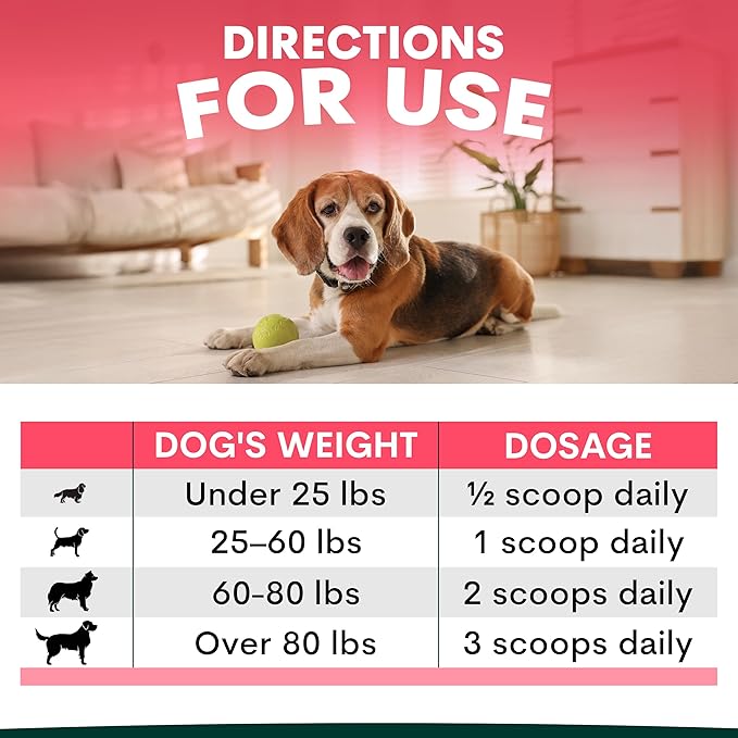 Petz Park Glucosamine for Dogs - Hip & Joint Support Powder with Chondroitin & MSM - Arthritis Pain Relief, Hip Dysplasia Treatment - 800mg Glucosamine - 90 Scoops