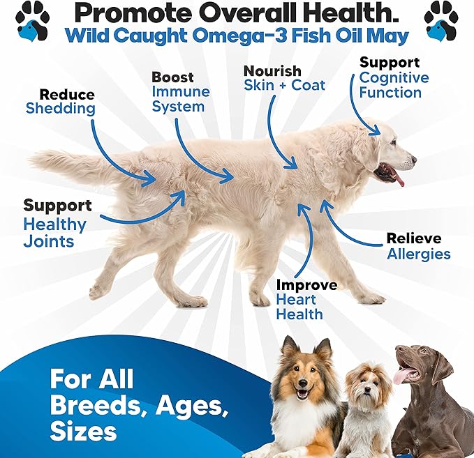 Omega 3 Fish Oil for Dogs - Salmon Oil for Dogs - Dog Fish Oil Supplement May Help Shedding, Allergy, Itch Relief - Supports Dry Skin, Joints - Dog Skin and Coat Supplement - 90 Fish Oil Pills EPA DHA