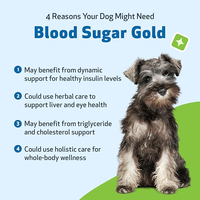 Pet Wellbeing Blood Sugar Gold Dogs - Holistic Blood Sugar Support, Pancreas & Liver Health, Gymnema, Fenugreek & Devil’s Club - NASC Certified & Vet-Formulated - 2 oz Liquid