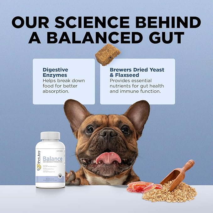 PetJoy Dog Probiotic Chews for Digestive Health - Puppy Diarrhea Probiotics for Dog Gas Relief and Gut Health - Digestive Enzymes for Dogs Diarrhea (60 Probiotics for Dogs Fiber Supplements)