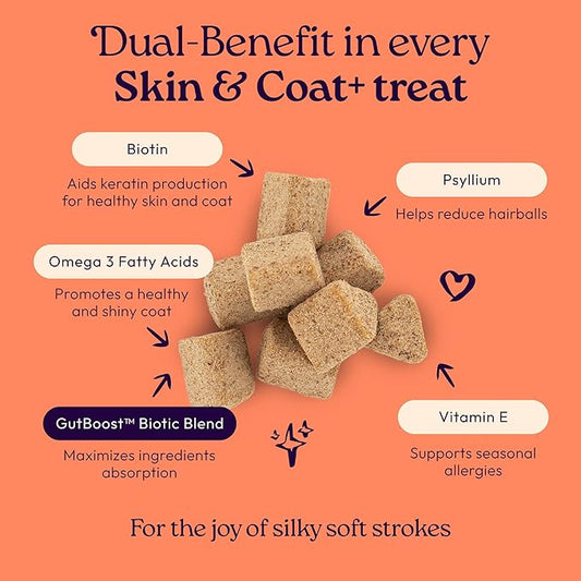 WIJ WellJoy Cat Treat Skin & Coat+ GutBoost | Nourishes Healthy Skin | Supports Shiny Coat | Dual-Benefit GutBoost Formulation | Vet Formulated | Made in USA | Real Shredded Chicken | 120 Soft Chews