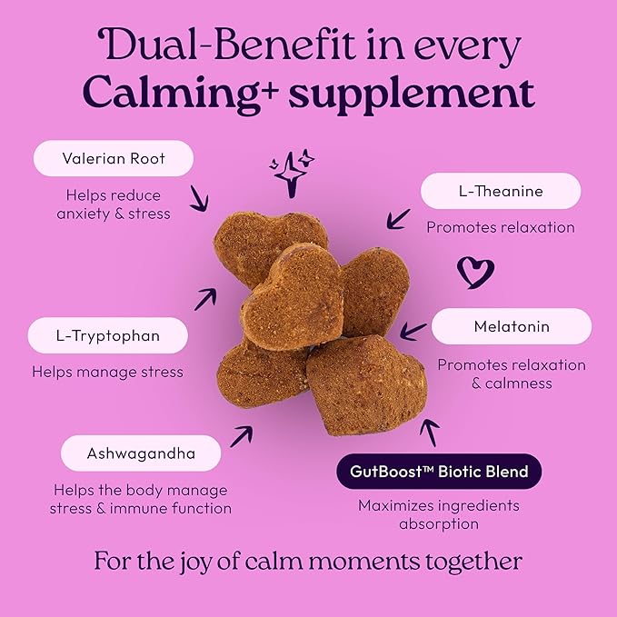 WellJoy Dog Supplement Calming+ GutBoost | Dog Health Supplement | Promotes Relaxation & Calmness | Dual-Benefit GutBoost Formulation | Vet Formulated | USA Made | Chicken Flavor | 90 Soft Chews