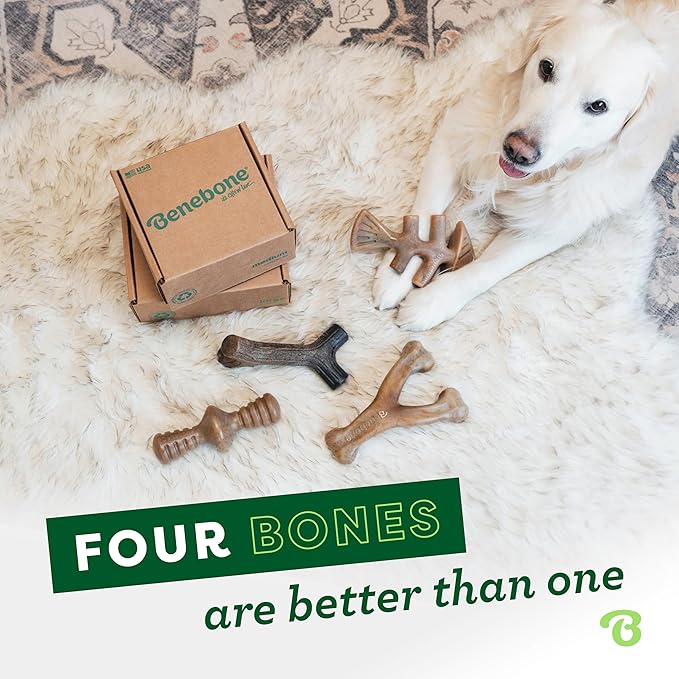 Benebone Small 4-Pack Dog Chew Toys for Aggressive Chewers, Made in USA, 30lbs and Under