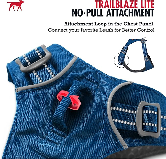 Tuff Pupper All-Day Wear Dog Harness | for Walking, Trail Running, Hiking | Front & Back Leash Clips | Reflective Trim | Easy On/Off Buckles | Lightweight Breathable | No Pull Design (XXS, Blue)