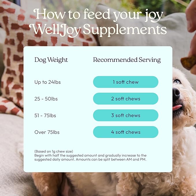 WellJoy Dog Supplement Joint+ GutBoost | Dog Health Supplement | Supports Healthy Flexible Joints | Dual-Benefit GutBoost Formulation | Vet Formulated | USA Made | Chicken Flavor | 90 Soft Chews