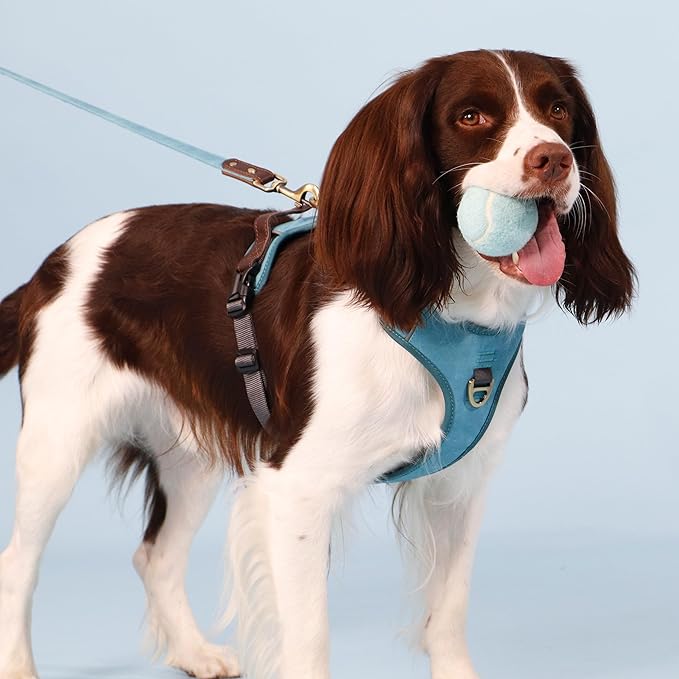 No Pull Dog Harness Small Sized Dog,Stylish PU Leather Vest with Easy Control Handle,No Choke Front Clip with 2 Metal Leash Clips,Reflective & Adjustable for Walking,Light Blue,Chest 19-24"