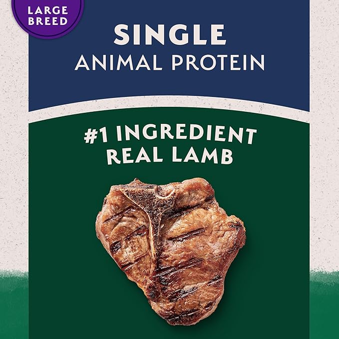 Natural Balance Limited Ingredient Large Breed Adult Dry Dog Food with Healthy Grains, Lamb & Brown Rice Recipe, 12 Pound (Pack of 1)