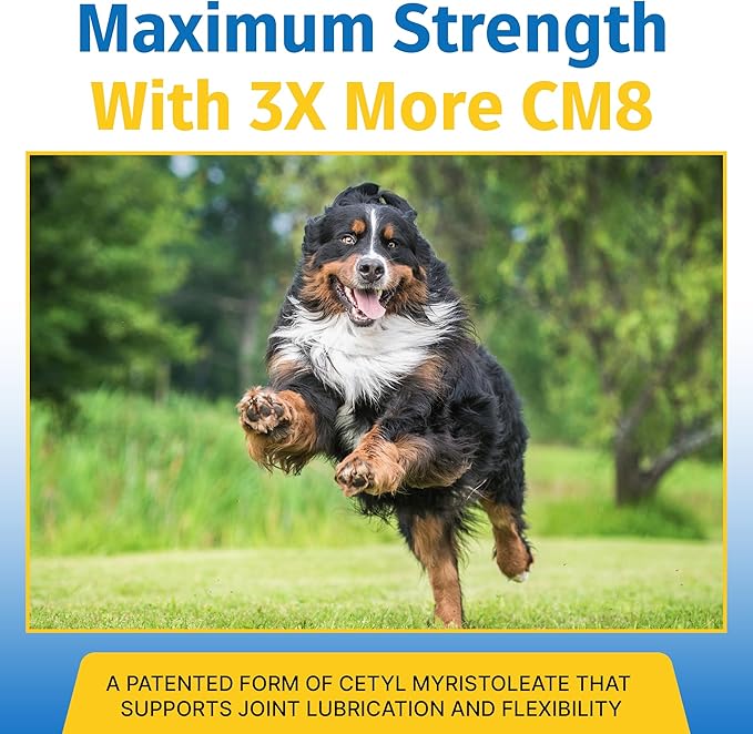 Hip & Joint Supplement for Dogs & Cats with Cetyl Myristoleate, Glucosamine, Collagen, MSM - Max Strength Joint Support for Mobility, Senior Pets, Large Breeds - Trial Pack (Bacon/Cheese)