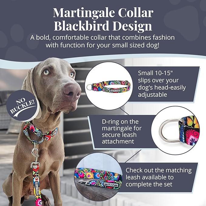 Lucky Love Dog Martingale Dog Collar - Adjustable, No-Slip, Durable, & Soft Webbing Collar for Male and Female Dogs Ideal for Training & Walking - Blackbird, Small