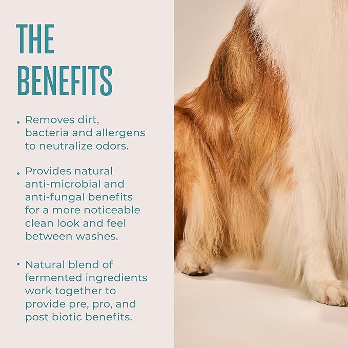 WagWell Daily Cleansing Dog Wipes – Vet-Approved, All Natural, Dermatologist Tested, Microbiome-Friendly – Head-to-Tail (Avoid Eye Area), Helps Reduce Odor – No Added Fragrance, 50 Count