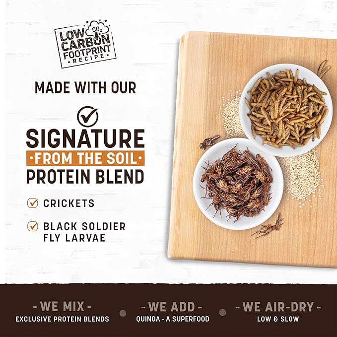 Earth Animal Wisdom Air Dried Jerky - from The Soil Recipe Premium Natural Insect Based Jerky Strips Dog Treats - 4 oz Bag