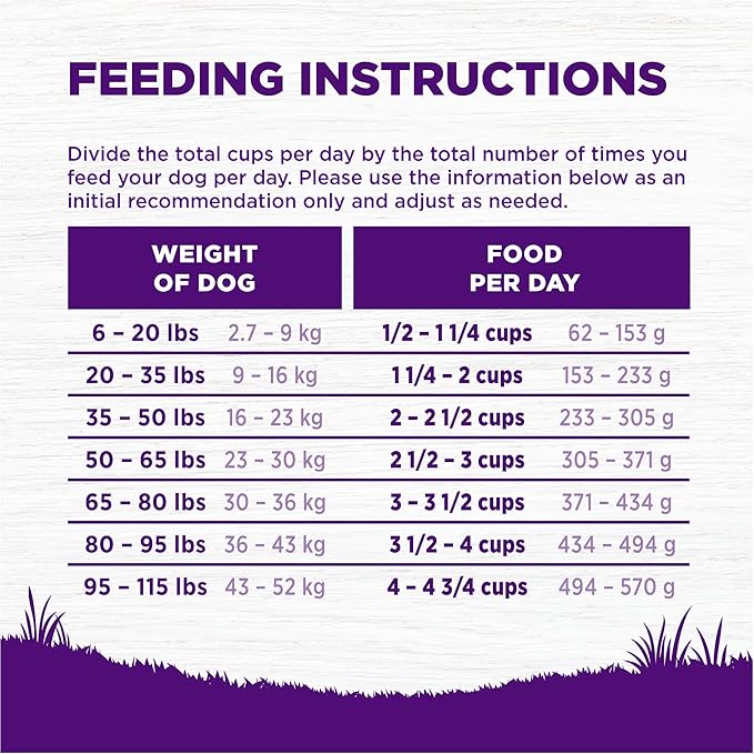 Wellness Complete Health Dry Dog Food, Wholesome Grains, Chicken & Oatmeal, (38-Pound Bag)