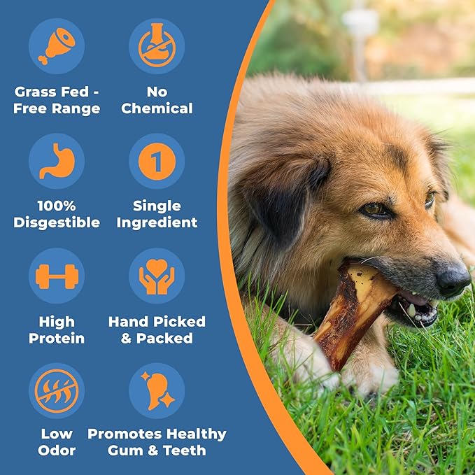K9warehouse USA Marrow Bones for Dogs – All-Natural 5-6" Beef Bone Marrow Dog Treats – Long Lasting Bones for Aggressive Chewers – High-Protein Chews for Small, Medium, Large & Extra Large Breeds