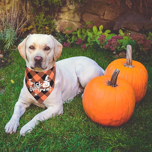 ADOGGYGO Halloween Dog Bandanas, Classic Orange Purple Plaid Pet Scarf Bib, Premium Cotton Fabric, Multiple Sizes, Halloween Bandanas for Small Dogs Pets (Small)