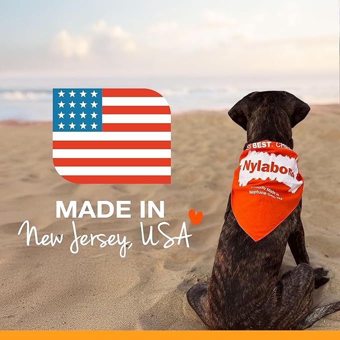 Nylabone Nutri Dent Dog Dental Chews - Natural Dog Teeth Cleaning & Breath Freshener - Dental Treats for Dogs - Filet Mignon Flavor, X-Large (1 Count)
