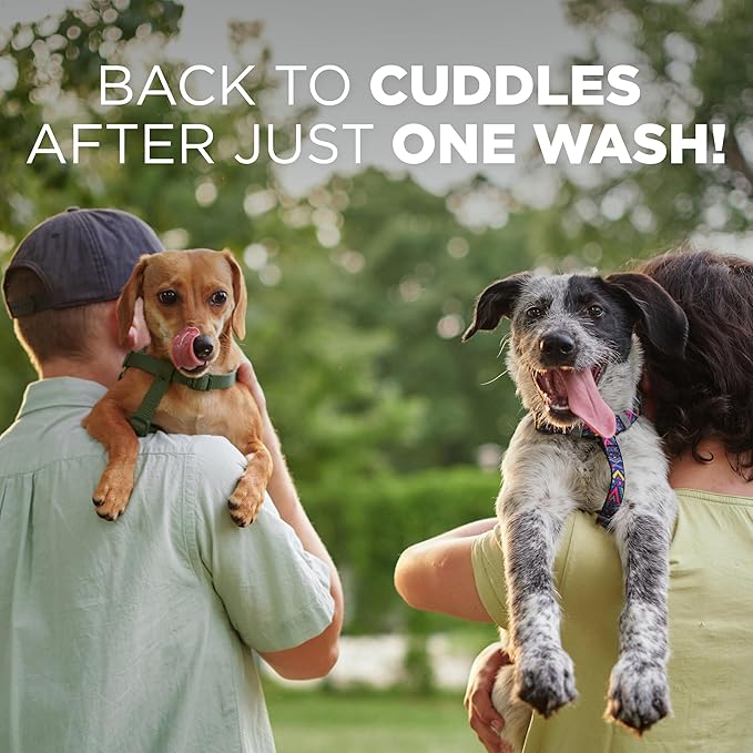 TropiClean Deodorizing Skunk Shampoo for Dogs - Extra Strength Skunk Odor Remover - 24 Hour Fast Relief - 20 oz
