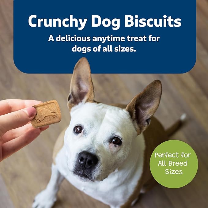 Blue Buffalo Health Bars Crunchy Dog Biscuits, Oven-Baked with Natural Ingredients, Apples & Yogurt, 3.5-lbs Box